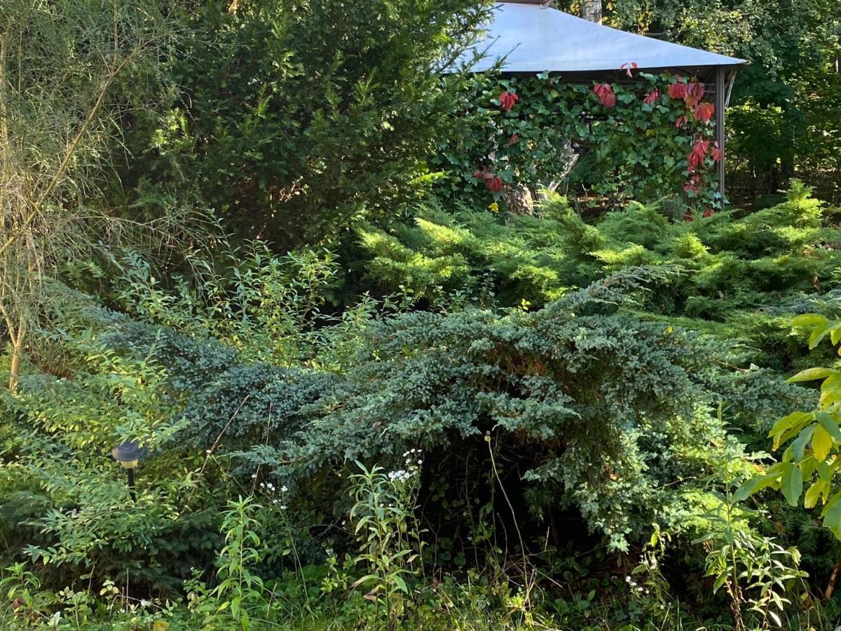 Agroturystyka Staroscin Rzepin Exterior foto